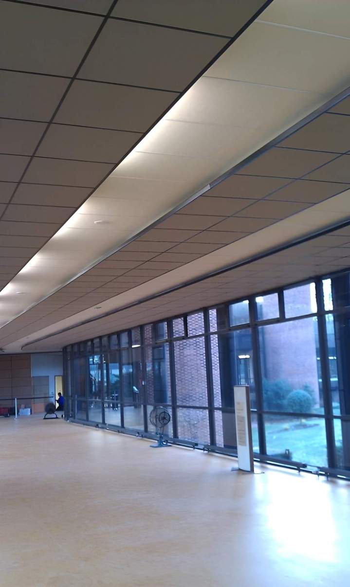 Pose de plafond Romainville 